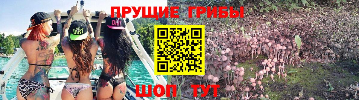 Псилоцибиновые грибы Psilocybine cubensis  Псилоцибиновые грибы MAGIC MUSHROOMS  Вход с VPN  Белово 