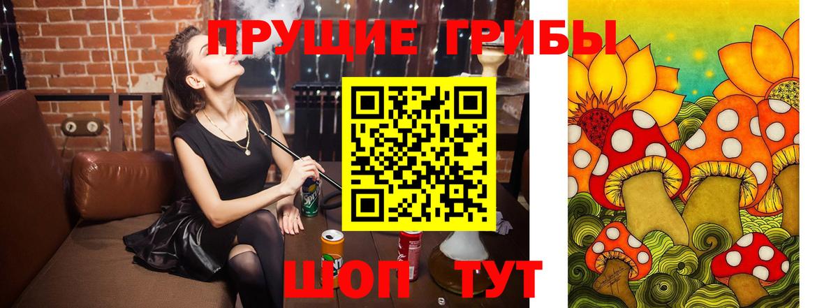 Псилоцибиновые грибы Cubensis Белово